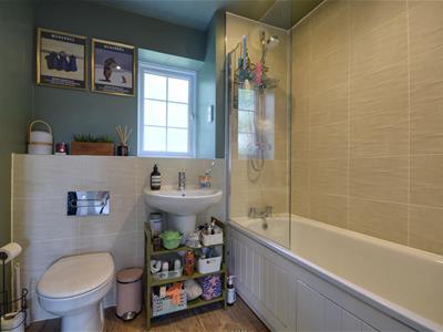Picture 8